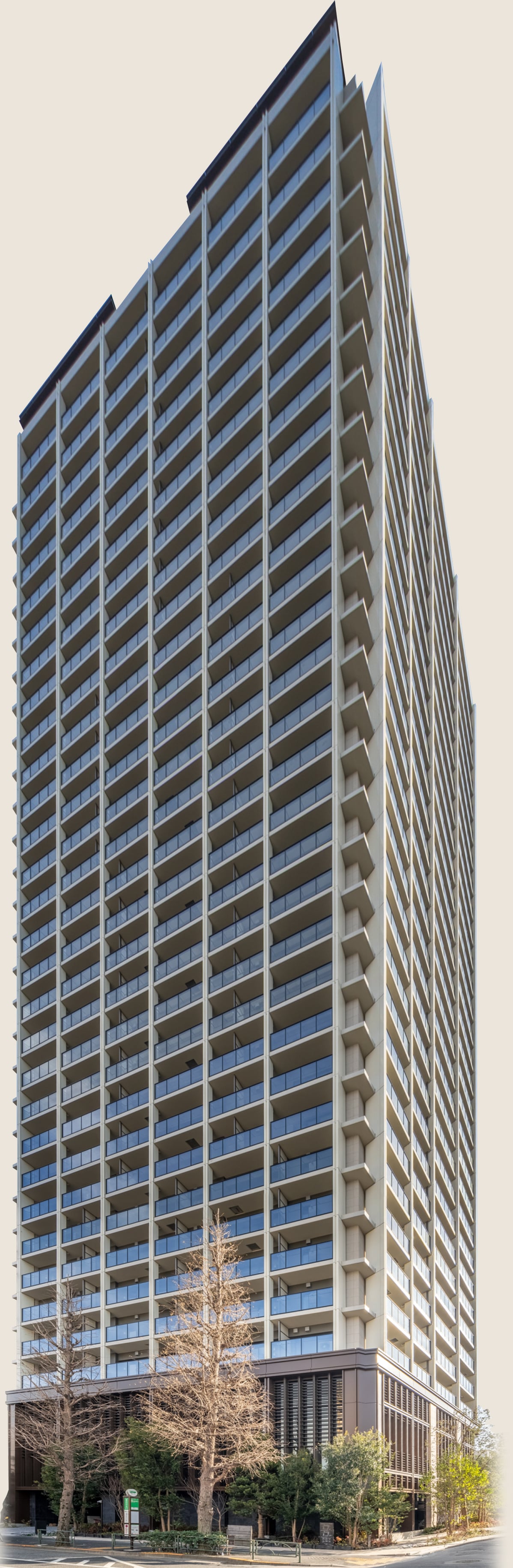 Appearance